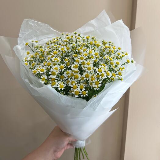 Ромашки