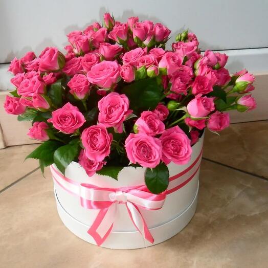 Bush roses in a box