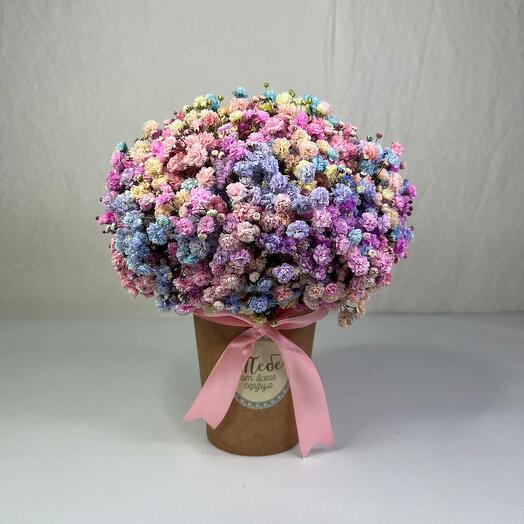 A cup with rainbow gypsophila