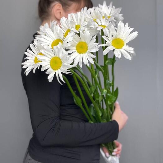 Букет из 15 ромашек