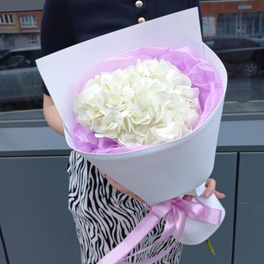 Bouquet of White Hydrangea