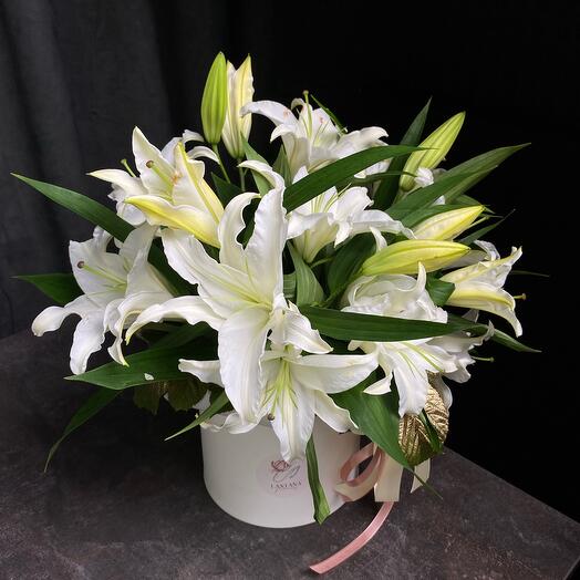 White lilies in a hatbox