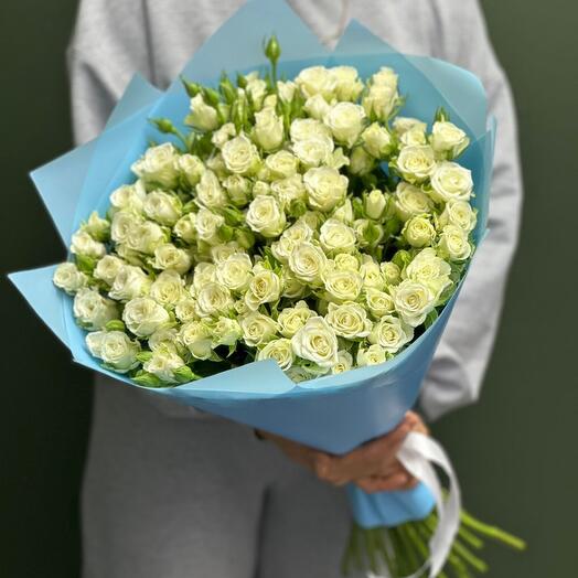 Роза кустовая🌸🌸🌸🌸