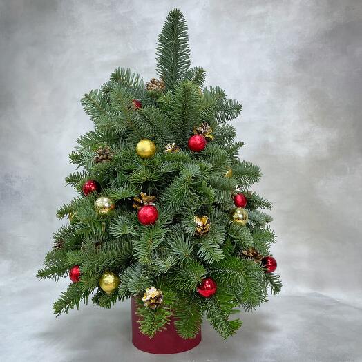 Елка из нобилиса в шляпной коробке