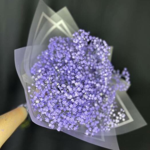 5 веток фиолетовой гипсофилы