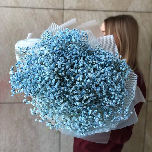 Gypsophila "Cote d'Azur"
