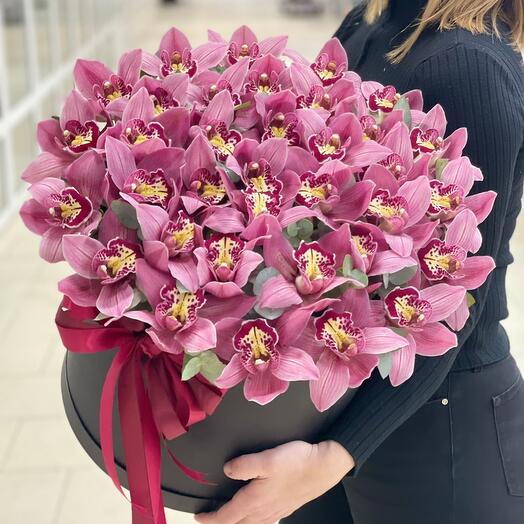 Стойкие тропические орхидеи в коробке XL 🖤