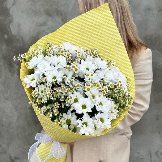 Daisies