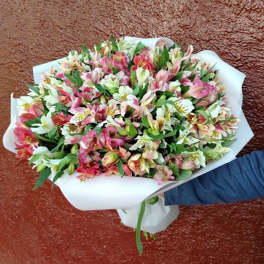 29 white and pink alstroemeria
