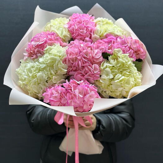Hydrangea Love 1199