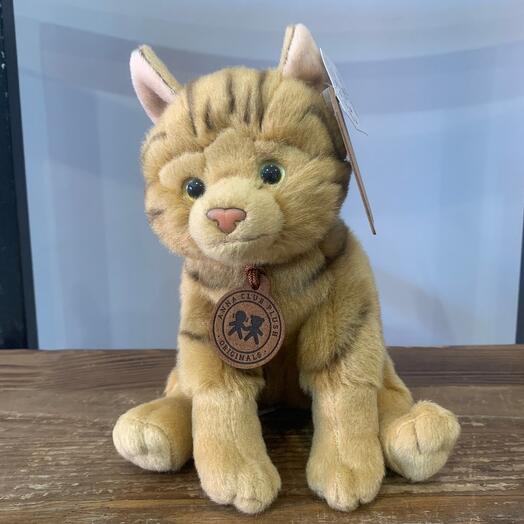 Кот рыжий сидит