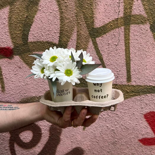 Chrisantemus and illy Coffee