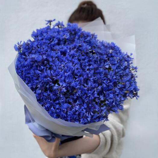 Васильки 💙