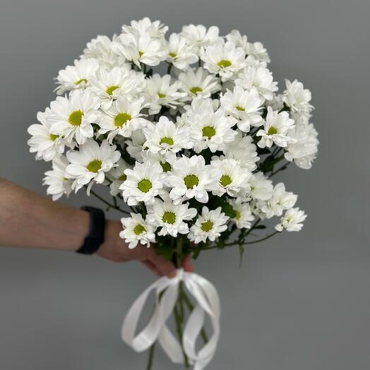 Bouquet of chrysanthemums