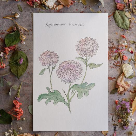 Акварельный рисунок