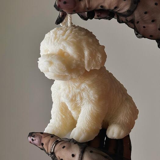 Puppy Candle