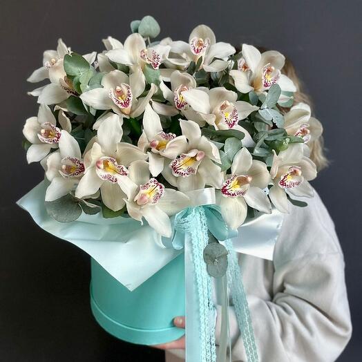 White Orchid with eucalyptus in a hatbox