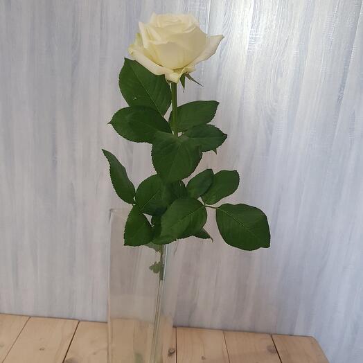 Аваланш 60см