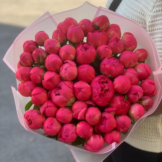 Пионы коралловые