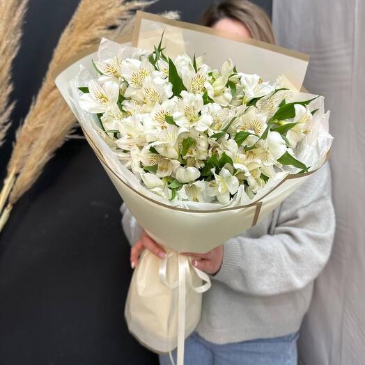Snow-white alstroemeria