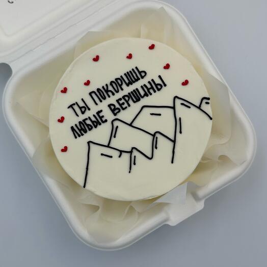 Bento cake "You will conquer any peaks"