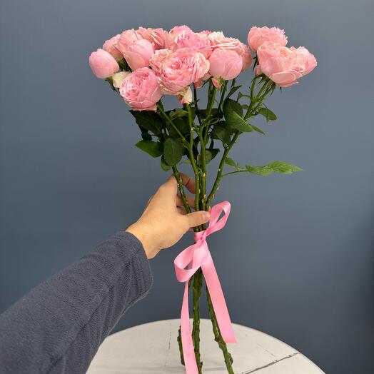 Роза кустовая Mansfield Park Pink roz