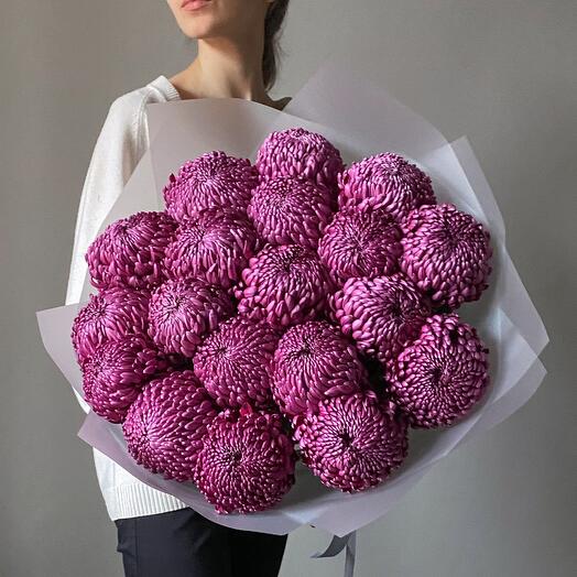 A lush bouquet of premium chrysanthemum curlers in a trendy wine shade