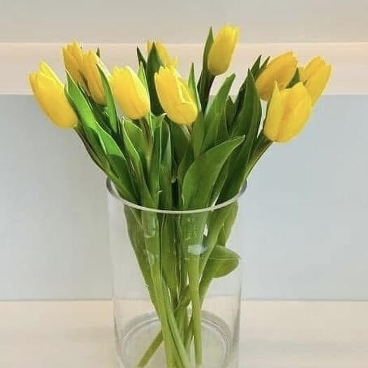 Yellow Tulip Bunch