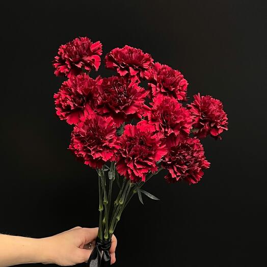 Mono♦️ «Диантус_гвоздика бордо 10» прощальный монобукет из 10 винно-бордовых/красных диантусов_гвоздик