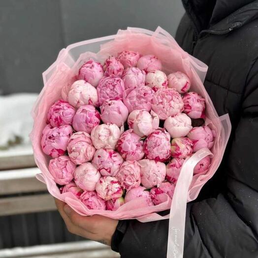 Пион розовые 35шт