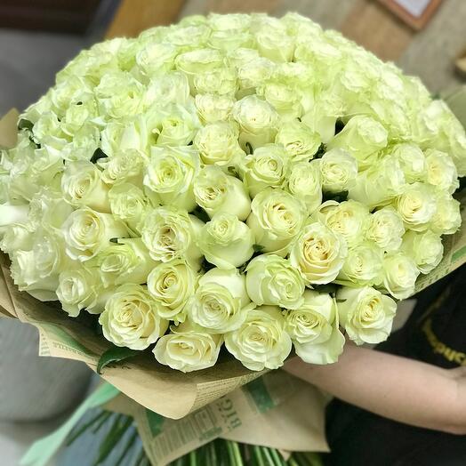 151 Роза «Мондиаль»