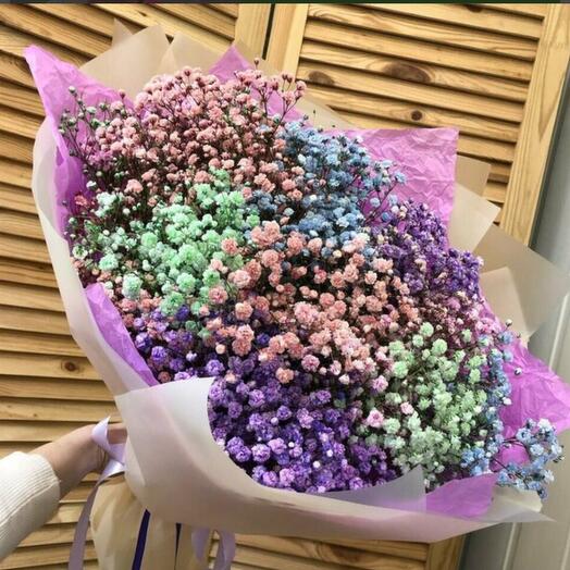 Rainbow Gypsophila