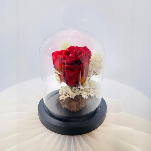 Timeless Rose- Timeless Preserved Red Rose in Glass Dome – Lasting Beauty