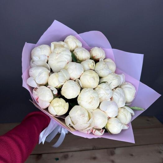25 белых пионов Голландия