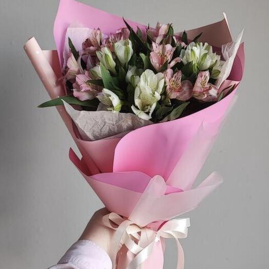 Gentle alstroemeria