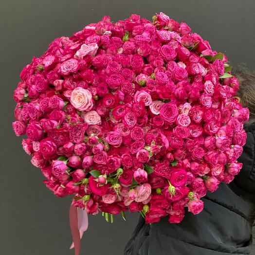 201 roż „Bombastic