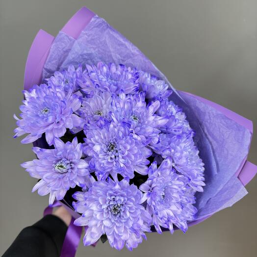 Сиреневые хризантемы 💜💜💜