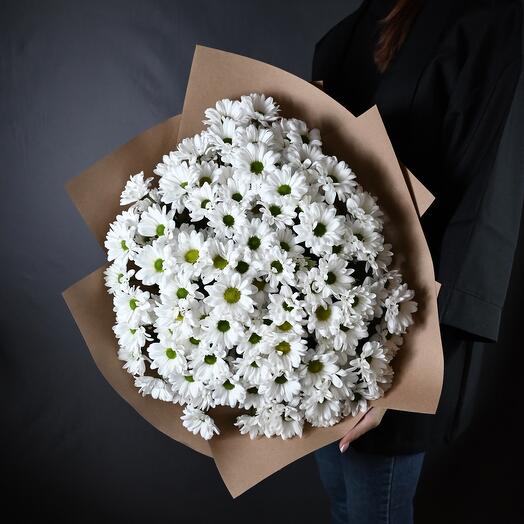 Giant bouquet of bush chrysanthemum "Daisies"