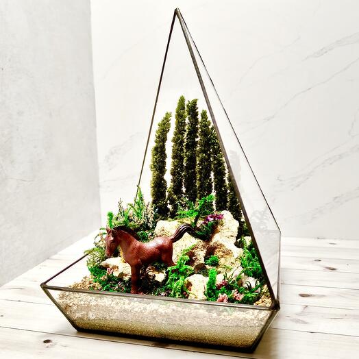 Моссариум "Жеребёнок" 🐎