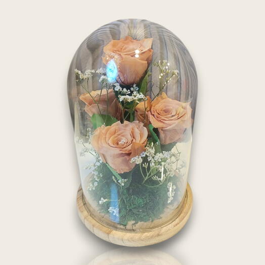 Elegance Preserved Rose Dome