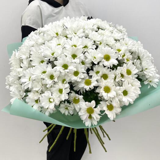 Букет из 35 кустовых хризантем