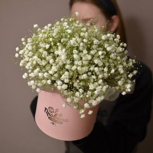 Коробка с гипсофилой