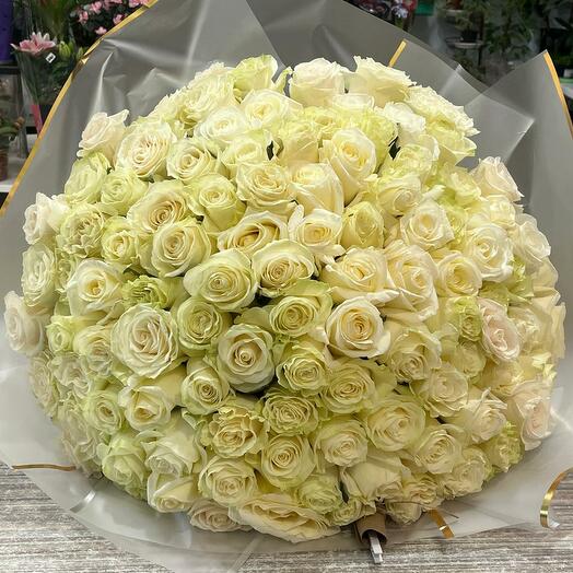 Букет из 101 белых роз