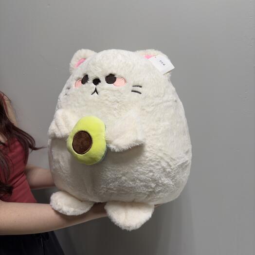 Кот с авокадо
