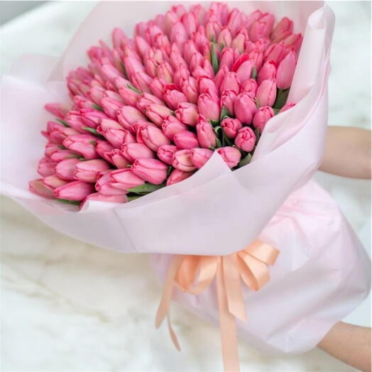 200 pink tulips