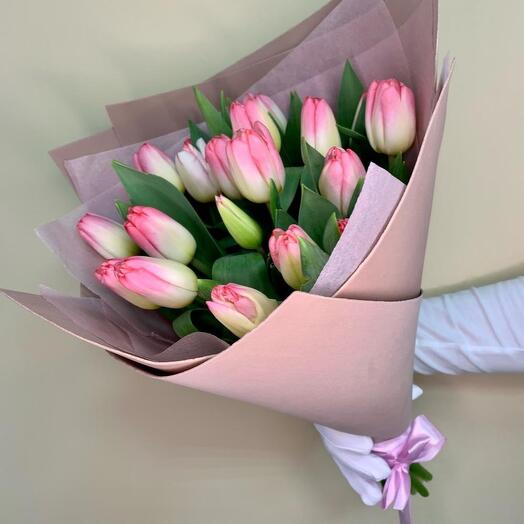 Pink tulips