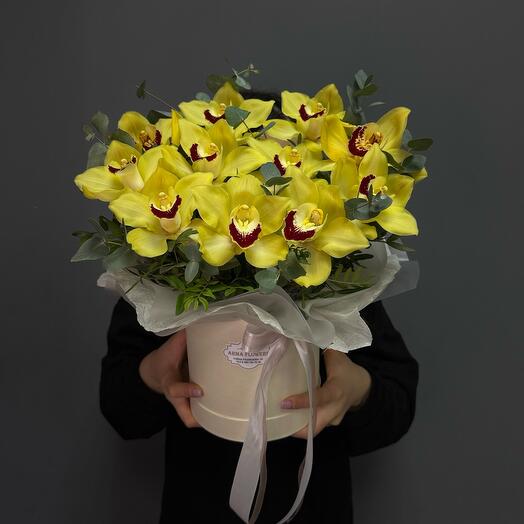 💛Орхидеи в коробке