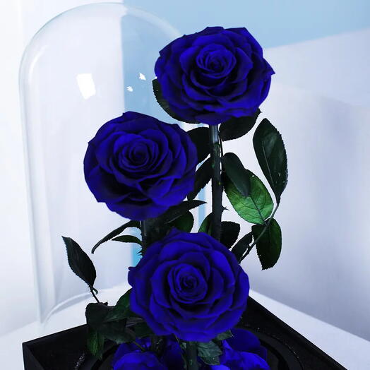 Forever Presrved Rose Blue 3