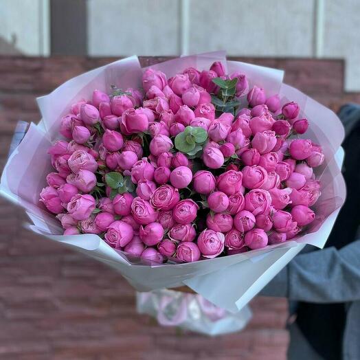 Silva Pink 39шт