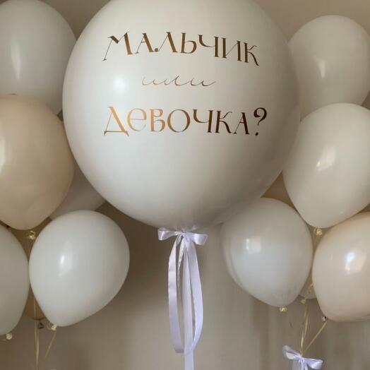 Композиция на Гендер Пати "Белоснежная", 15 шаров